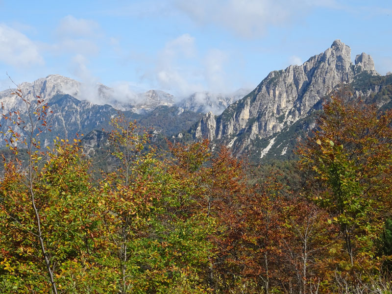 Cima Carega m. 2259 ......Piccole Dolomiti (TN)